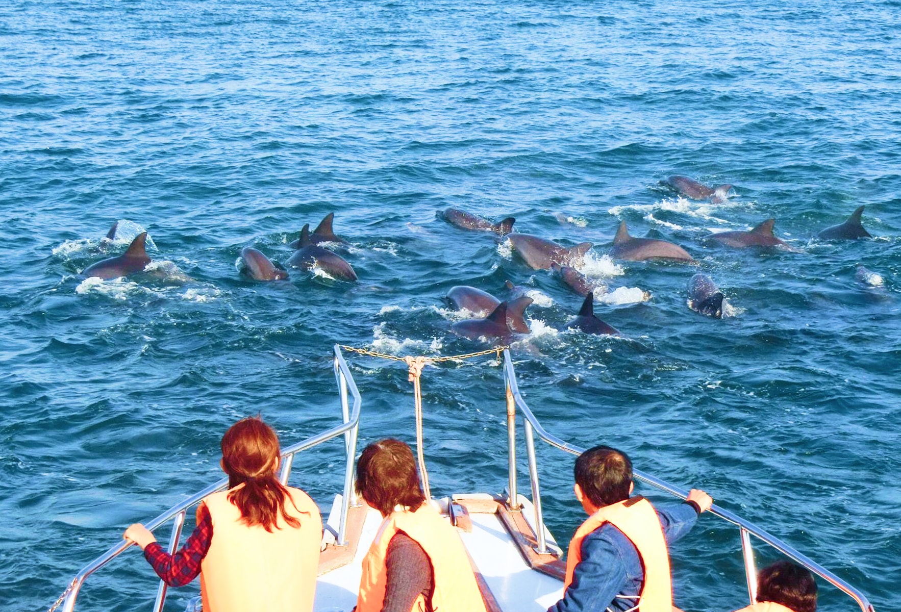 泊まる・遊ぶイメージ画像