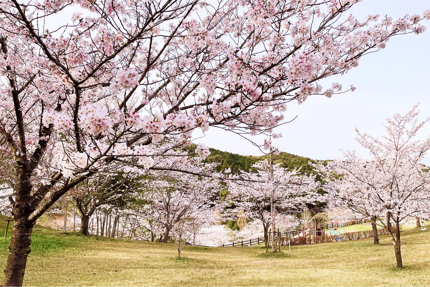 背景イメージ画像