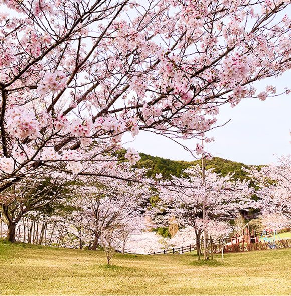 カテゴリアイキャッチ