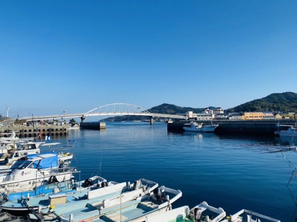 天草の豊かな海