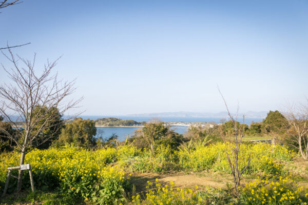 かずま園　花々と海