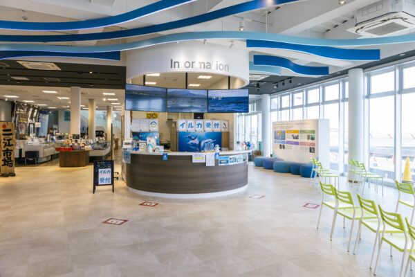 天草市イルカウォッチング総合案内所