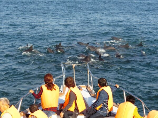 天草ならではの体験型観光