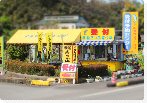 イルカウォッチング受付予約センター
