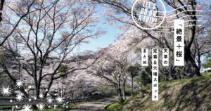 天草で桜を満喫！地元で叶える“絶景＋桜”ドライブ旅 ～定番＆穴場スポットまとめ～