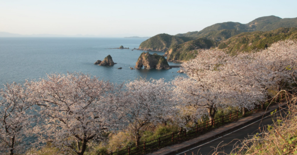 十三仏公園：全年齢対象